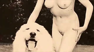 7757 doggy porn videos